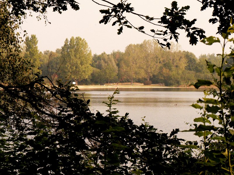 05.jpg