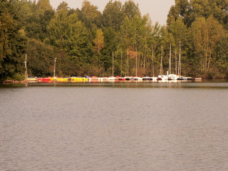 07.jpg
