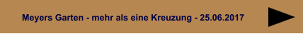 Meyers Garten - mehr als eine Kreuzung - 25.06.2017