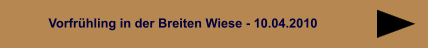 Vorfrühling in der Breiten Wiese - 10.04.2010