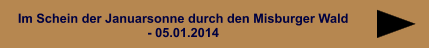 Im Schein der Januarsonne durch den Misburger Wald - 05.01.2014
