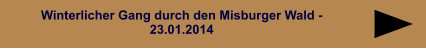 Winterlicher Gang durch den Misburger Wald - 23.01.2014