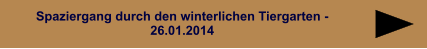 Spaziergang durch den winterlichen Tiergarten - 26.01.2014