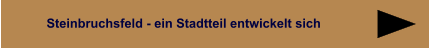 Steinbruchsfeld - ein Stadtteil entwickelt sich