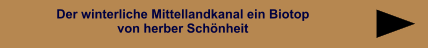 Der winterliche Mittellandkanal ein Biotop von herber Schönheit Der winterliche Mittellandkanal ein Biotop von herber Schönheit