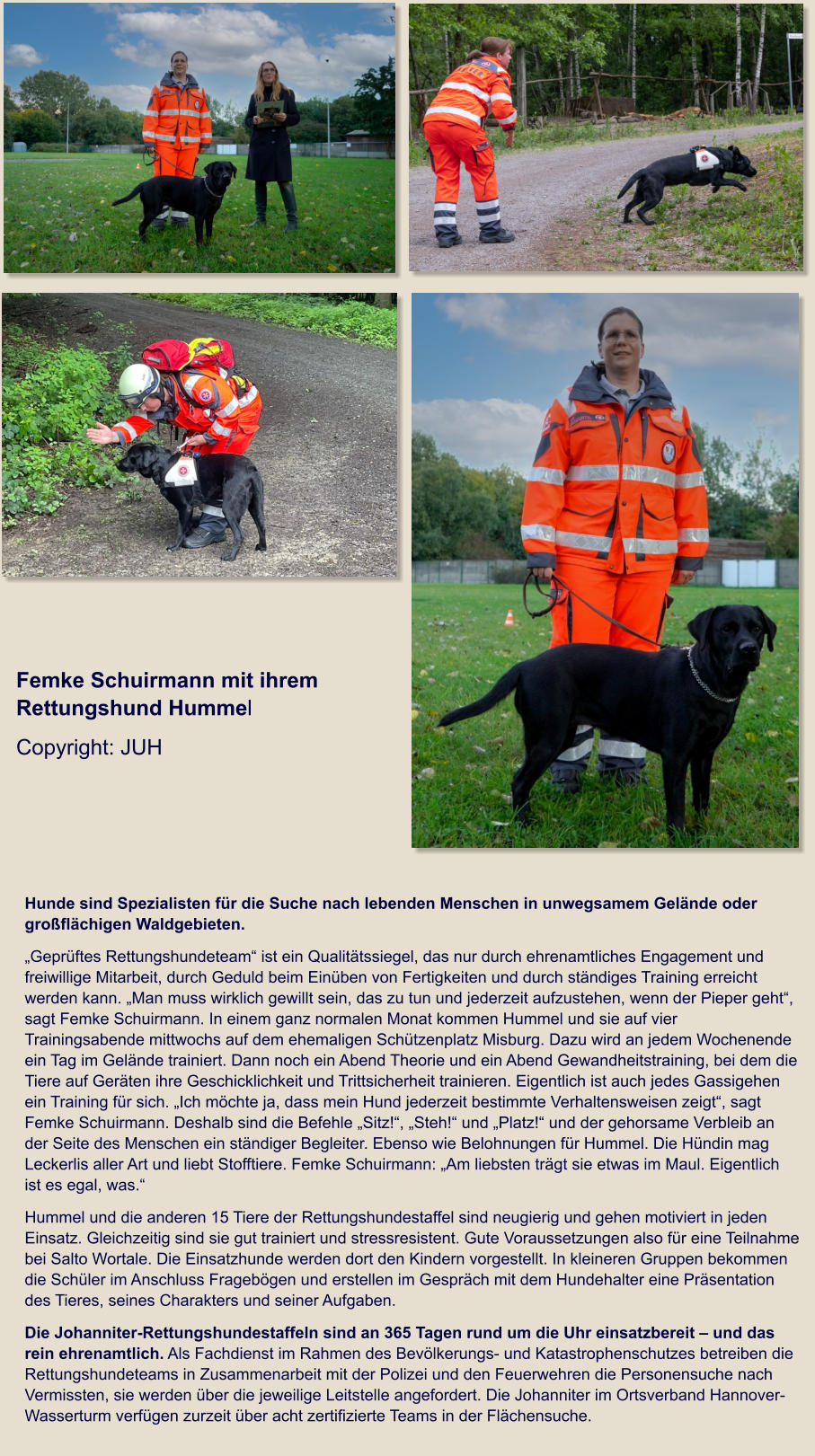 Hunde sind Spezialisten für die Suche nach lebenden Menschen in unwegsamem Gelände oder großflächigen Waldgebieten. „Geprüftes Rettungshundeteam“ ist ein Qualitätssiegel, das nur durch ehrenamtliches Engagement und freiwillige Mitarbeit, durch Geduld beim Einüben von Fertigkeiten und durch ständiges Training erreicht werden kann. „Man muss wirklich gewillt sein, das zu tun und jederzeit aufzustehen, wenn der Pieper geht“, sagt Femke Schuirmann. In einem ganz normalen Monat kommen Hummel und sie auf vier Trainingsabende mittwochs auf dem ehemaligen Schützenplatz Misburg. Dazu wird an jedem Wochenende ein Tag im Gelände trainiert. Dann noch ein Abend Theorie und ein Abend Gewandheitstraining, bei dem die Tiere auf Geräten ihre Geschicklichkeit und Trittsicherheit trainieren. Eigentlich ist auch jedes Gassigehen ein Training für sich. „Ich möchte ja, dass mein Hund jederzeit bestimmte Verhaltensweisen zeigt“, sagt Femke Schuirmann. Deshalb sind die Befehle „Sitz!“, „Steh!“ und „Platz!“ und der gehorsame Verbleib an der Seite des Menschen ein ständiger Begleiter. Ebenso wie Belohnungen für Hummel. Die Hündin mag Leckerlis aller Art und liebt Stofftiere. Femke Schuirmann: „Am liebsten trägt sie etwas im Maul. Eigentlich ist es egal, was.“ Hummel und die anderen 15 Tiere der Rettungshundestaffel sind neugierig und gehen motiviert in jeden Einsatz. Gleichzeitig sind sie gut trainiert und stressresistent. Gute Voraussetzungen also für eine Teilnahme bei Salto Wortale. Die Einsatzhunde werden dort den Kindern vorgestellt. In kleineren Gruppen bekommen die Schüler im Anschluss Fragebögen und erstellen im Gespräch mit dem Hundehalter eine Präsentation des Tieres, seines Charakters und seiner Aufgaben. Die Johanniter-Rettungshundestaffeln sind an 365 Tagen rund um die Uhr einsatzbereit – und das rein ehrenamtlich. Als Fachdienst im Rahmen des Bevölkerungs- und Katastrophenschutzes betreiben die Rettungshundeteams in Zusammenarbeit mit der Polizei und den Feuerwehren die Personensuche nach Vermissten, sie werden über die jeweilige Leitstelle angefordert. Die Johanniter im Ortsverband Hannover-Wasserturm verfügen zurzeit über acht zertifizierte Teams in der Flächensuche.   Femke Schuirmann mit ihrem Rettungshund Hummel Copyright: JUH