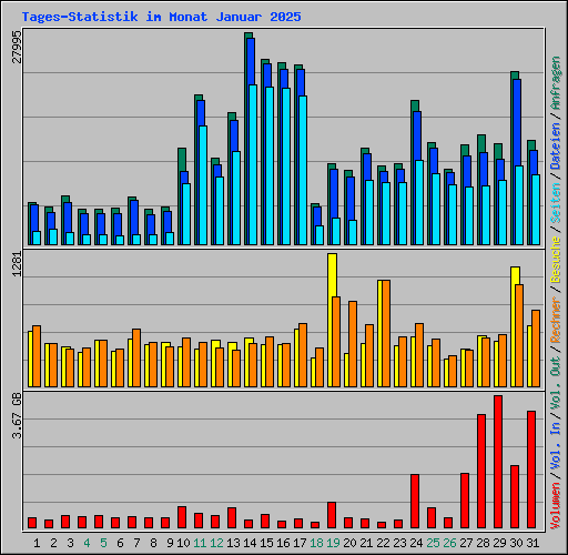 Tages-Statistik im Monat Januar 2025