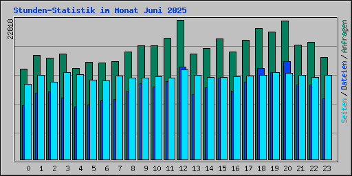 Stunden-Statistik im Monat Juni 2025