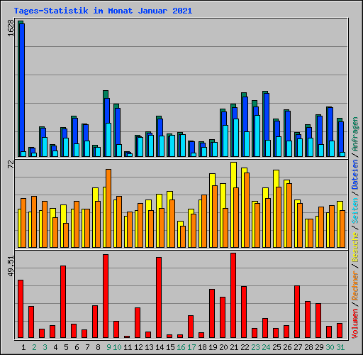 Tages-Statistik im Monat Januar 2021