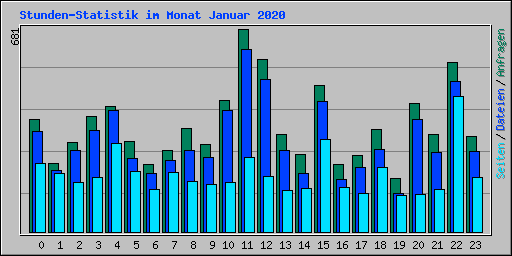 Stunden-Statistik im Monat Januar 2020