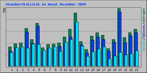 Stunden-Statistik im Monat Dezember 2020