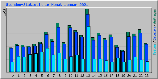 Stunden-Statistik im Monat Januar 2021