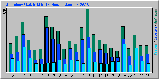 Stunden-Statistik im Monat Januar 2026