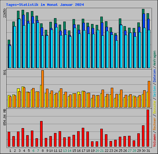 Tages-Statistik im Monat Januar 2024